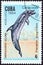 CUBA - CIRCA 1984: A stamp printed in Cuba from the `Whales and Dolphins` issue shows Spotted dolphin, circa 1984.