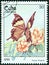 CUBA - CIRCA 1991: A stamp printed in Cuba from the `Butterflies` issue shows Hypna iphigenia butterfly, circa 1991.