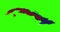 Cuba country shape outline on green screen with national flag waving animation