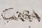 Cuba handwritten on the white sand