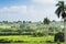 Cuba landscape in the countryside near Varadero