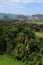 Cuba`s tabacco agriculture landscape Vinales in Pinar del Rio