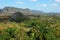 Cuba: The tabacco plantations in the region Vinales