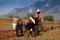 Cuban farmer plows his field with two oxen on March 22nd in Vinales, Cuba.