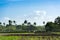 Cuban field farmer on the sugarcane field during the harvest in Santa Clara Cuba - Serie Cuba R