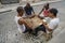 Cuban men playing game of dominoes that is very popular in Cuba