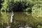 Cuban swamp - Peninsula de Zapata National Park / Zapata Swamp, Cuba