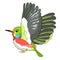 Cuban a Tody Bird exotic. vector illustration