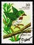 Cuban Tody (Todus multicolor), Protected animals serie, circa 1984