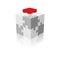 Cube Puzzle. Grayscale With A Red Piece