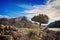 Cuber resevoir, lake, Puig Major, Tramuntana, trees,rocks, sunlight, blue sky, white clouds, turquoise water, Mallorca, Spain