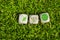 Cubes or dice in green grass with message plastic free