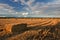 Cubes of straw. Polish field