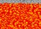 Cubic pixel lava, magma blocks pattern, pixel game