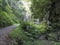 Cubo de la galga nature park with asphalt road, path in beautiful mysterious Laurel forest, laurisilva in the northern