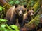 Cubs escape attempt caught by mama