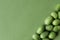 Cucamelon on textured green paper background. Monochrome horizontal banner, poster, copy space. Mouse Melons, exotic fruit. Grassy