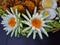 Cucumber and carrot vegetables are shaped into flowers
