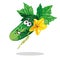 Cucumber cartoon character with flower and leaves