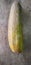 Cucumber Cucumis sativus is a widely-cultivated creeping vine plant In India