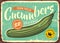 Cucumber graphic vector illustration