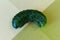 Cucumber on a green background. Vegetarian food. Vegetable with defects