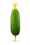 Cucumber green ripe