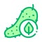 Cucumber Leaf Icon Vector Outline Illustration