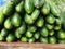 Cucumber market organic