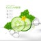 Cucumber Natural Moisture Skin Care Cosmetic vector illustration