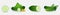 Cucumber plant. Set of cucumber seed, sprout, flower, leaves, vegetable. Plant growth. Vector elements isolated on