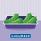 Cucumber on the plastic food packaging tray wrapped with polyethylene. Vector illustration