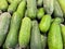Cucumber raw fruit and vegetable backgrounds overhead perspective.