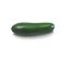 Cucumber realistic vector