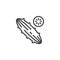 Cucumber slice line icon