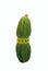 Cucumber stonkoy waist