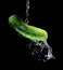 Cucumber in the stream of pure cold water