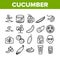 Cucumber Vegetable Collection Icons Set Vector