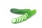The cucumber on white background. Cucumber is a widely-cultivated creeping vine plant