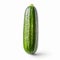 Cucumber And Zucchini: A Surrealistic Study In White
