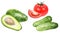 Cucumbers avocado tomato watercolor isolated on white background