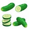 Cucumbers in cartoon style set. Whole cucumber, half, flying slices and cucumbers group. Fresh farm vegetables collection. Vector