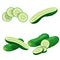 Cucumbers in cartoon style set. Whole cucumber, half, flying slices and cucumbers group. Fresh farm vegetables collection. Vector