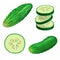 Cucumbers in cartoon style set. Whole cucumber, slice, flying slices. Fresh farm vegetables collection. Vector illustrations