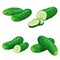 Cucumbers in cartoon style set. Whole cucumbers, half with slices and cucumbers group. Fresh farm vegetables collection. Vector il