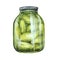 Cucumbers in a glass jar, homemade pickled