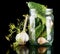 Cucumbers in jar preparate for preserving on black