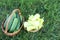 Cucumbers and pepper in baskets on a grass