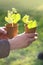 Cucumbers seedlings in peat pots in hand on a green garden background. Spring garden work. Blooming seedlings in peat