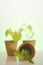 Cucumbers and tomato seedlings in peat pots close-up on a light green background.Blooming seedlings for seedlings